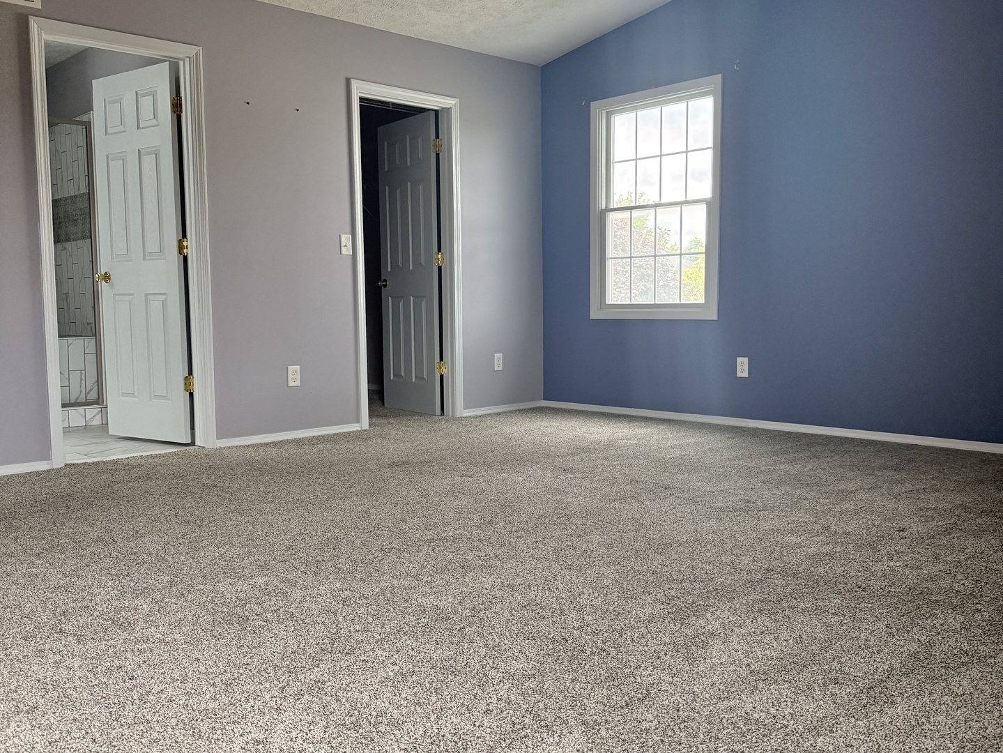 Gallery Image 30