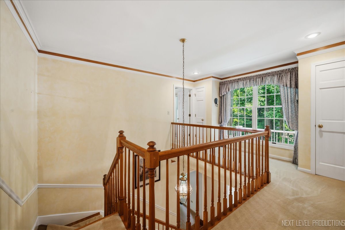 Gallery Image 16