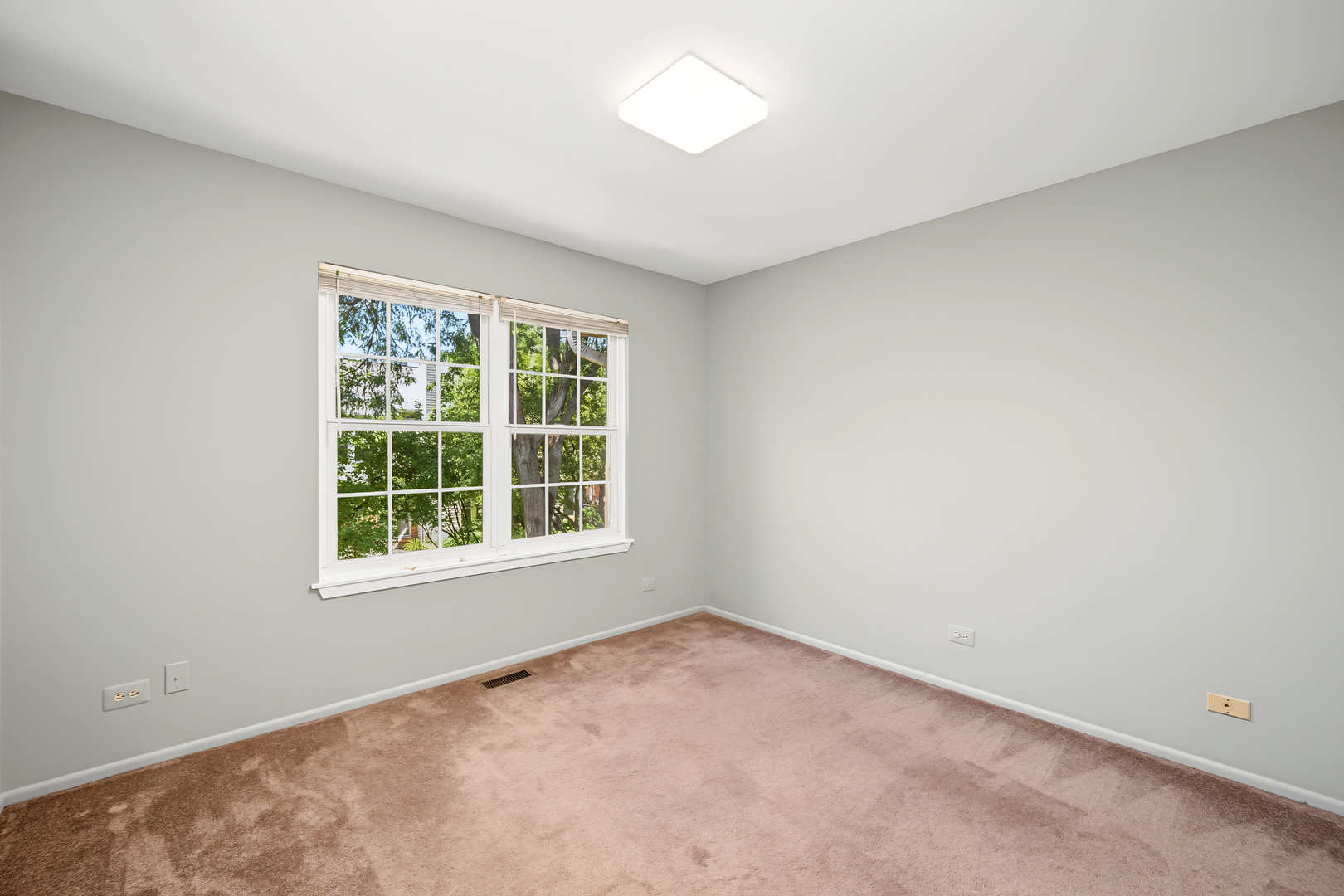 Gallery Image 19