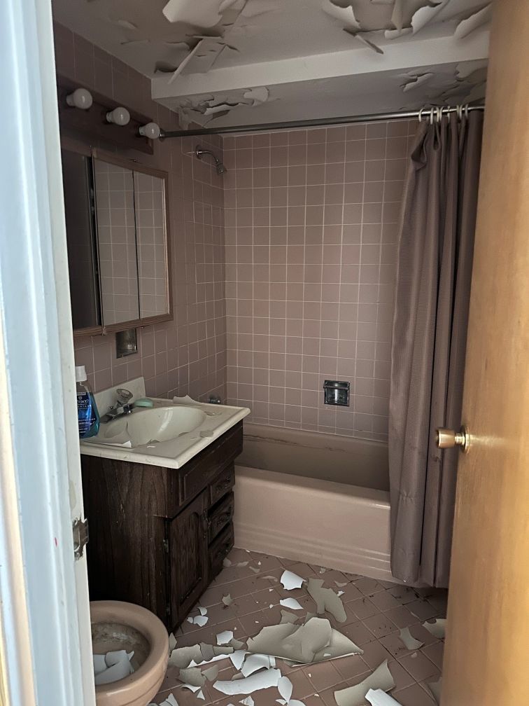 Gallery Image 15