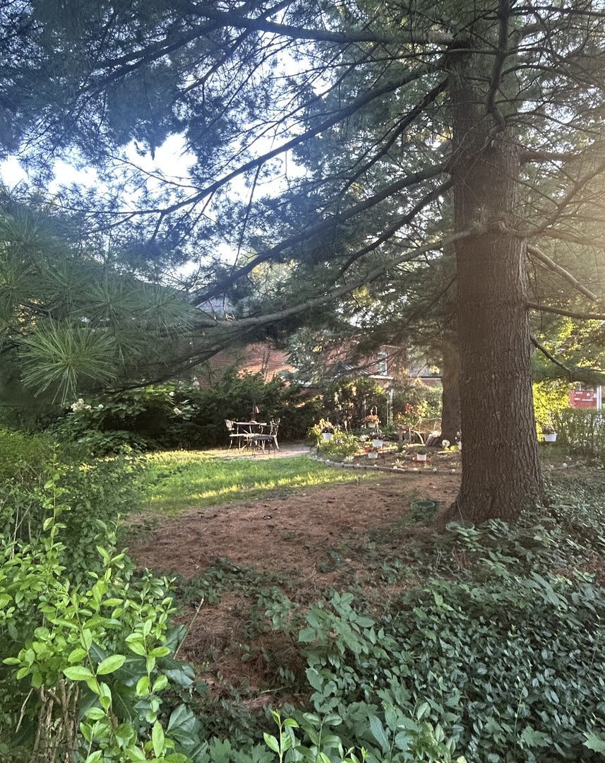 Gallery Image 16