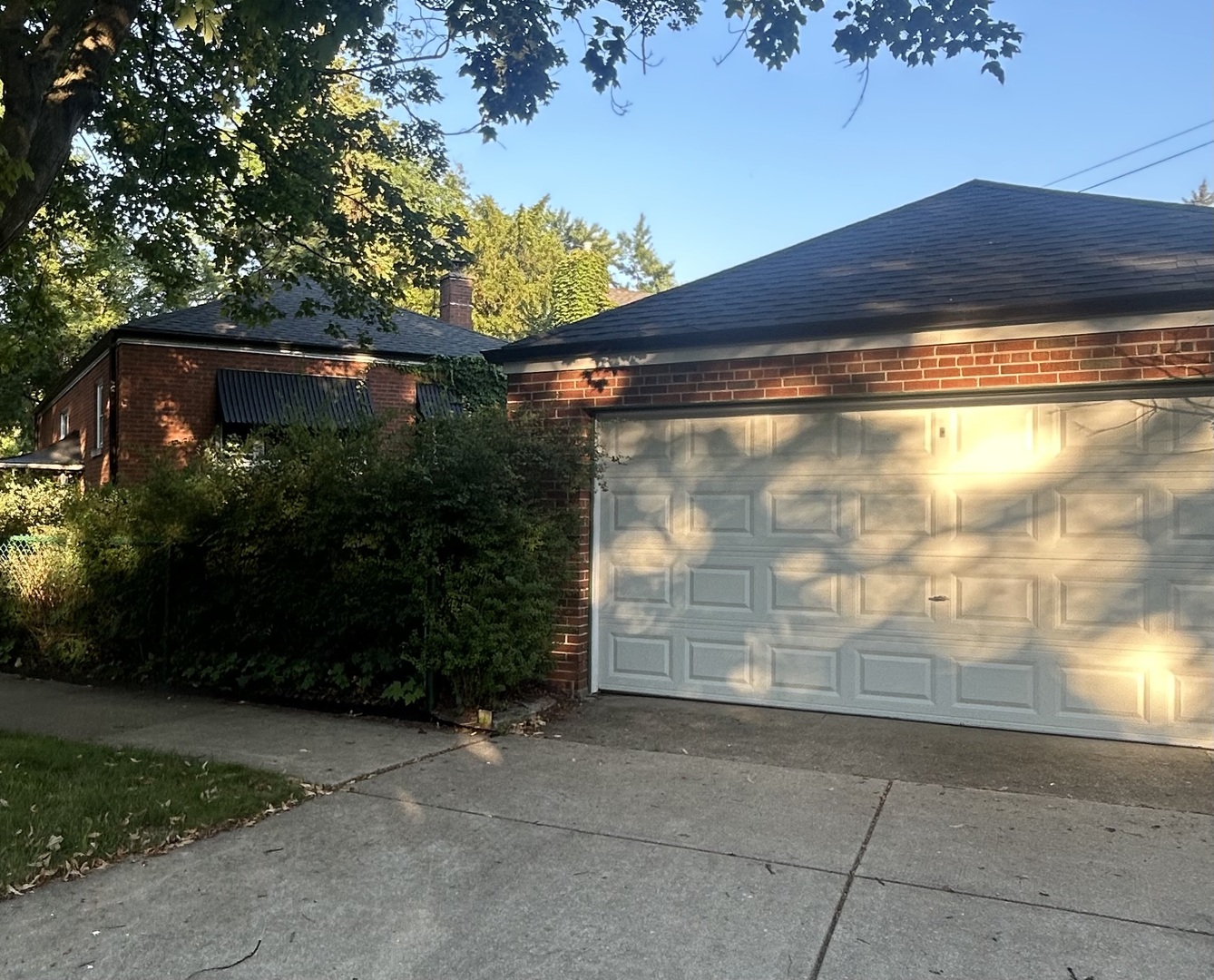 Gallery Image 14