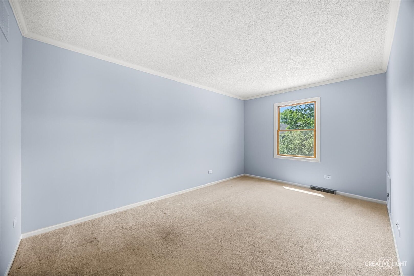 Gallery Image 19
