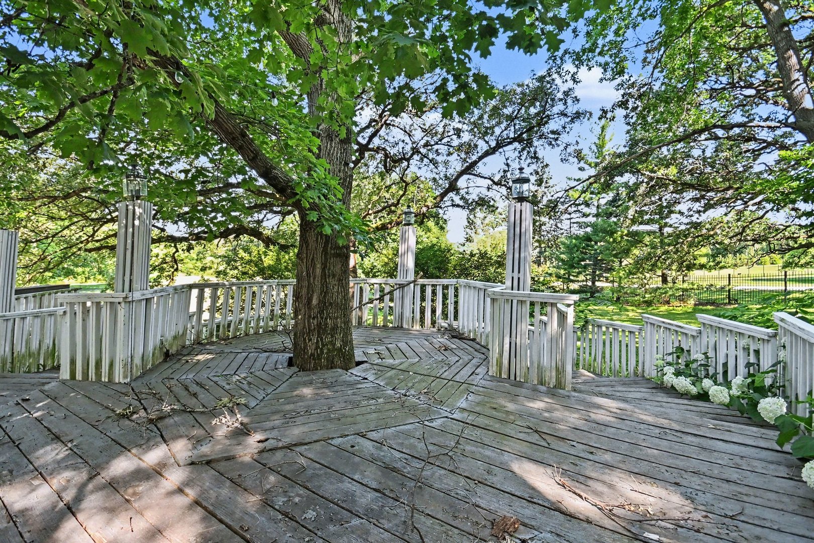 Gallery Image 38