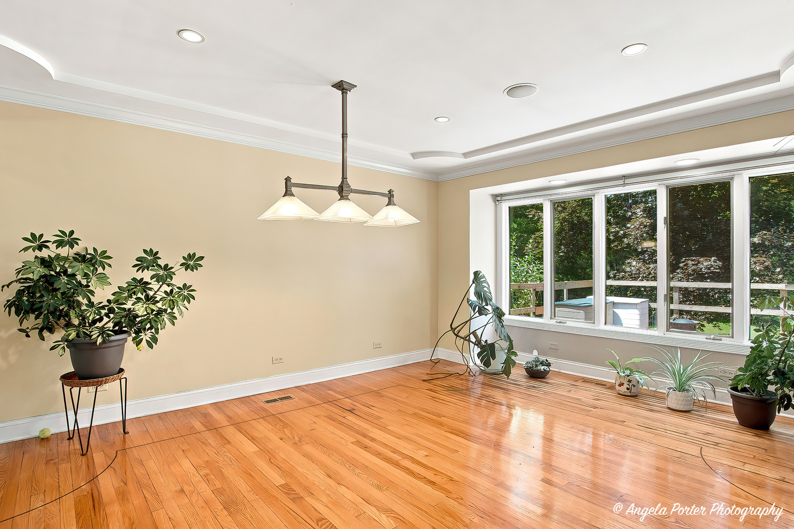 Gallery Image 17