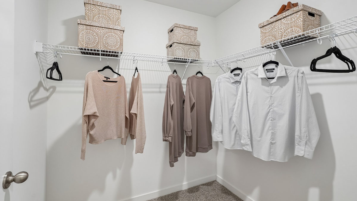 Gallery Image 43