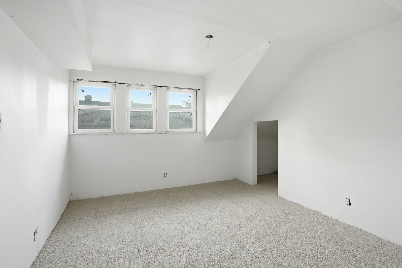 Gallery Image 19