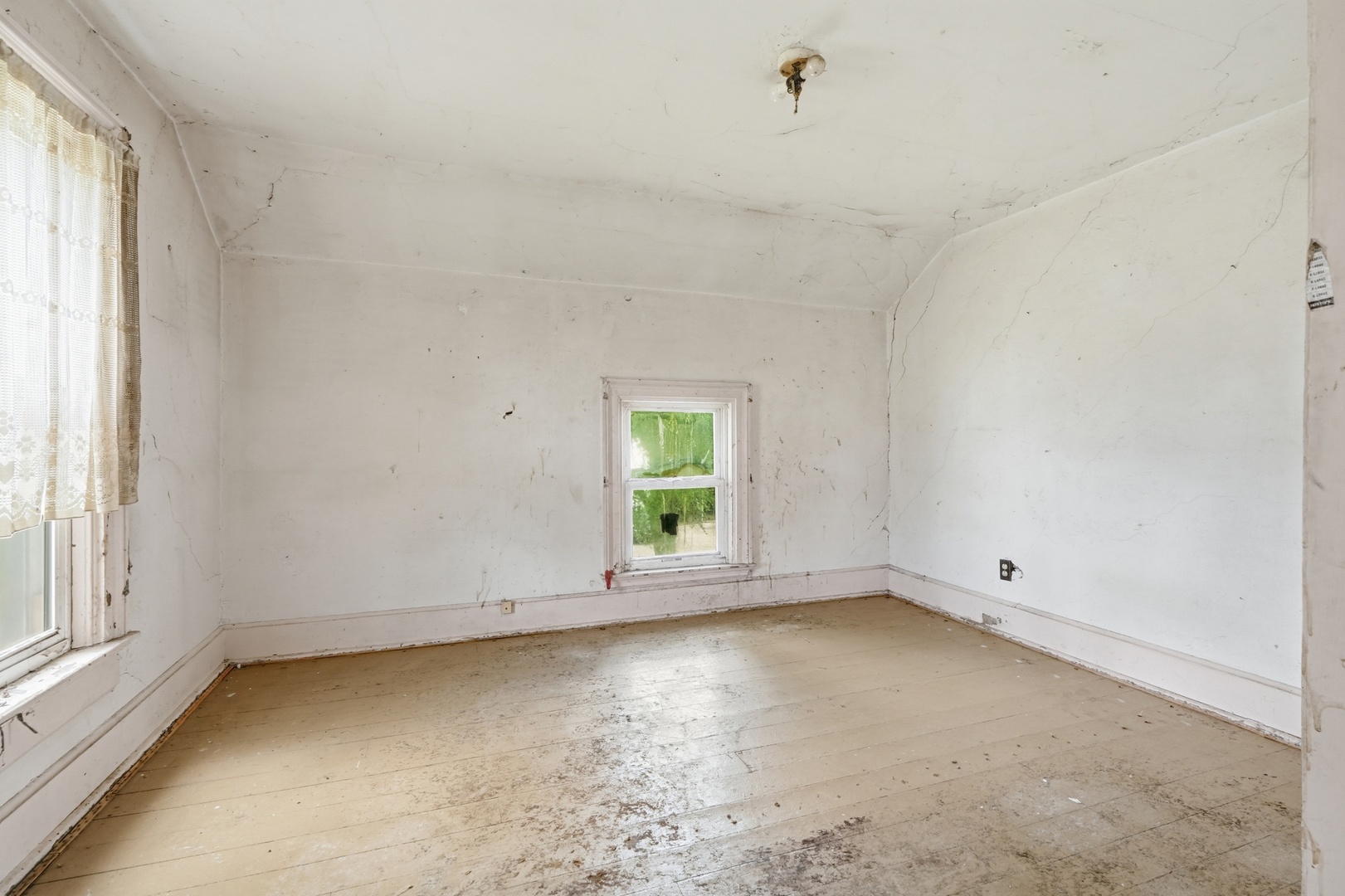 Gallery Image 16