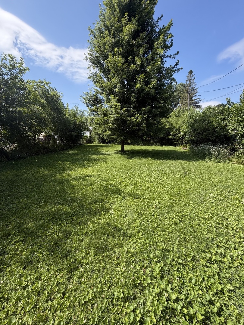 Gallery Image 11