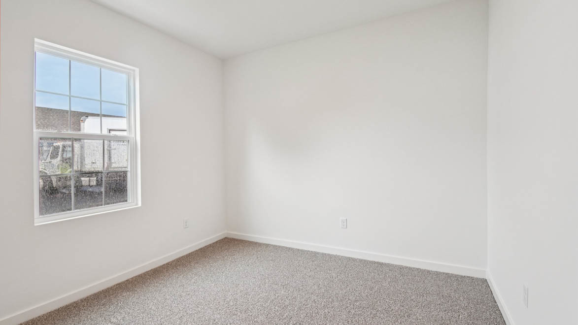 Gallery Image 16