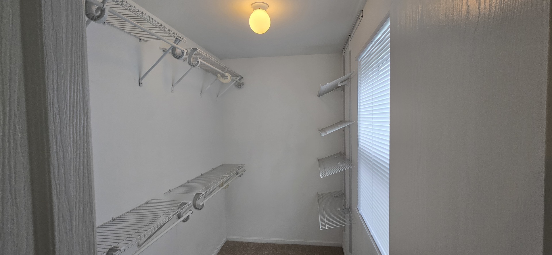 Gallery Image 18