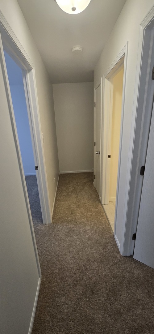 Gallery Image 22