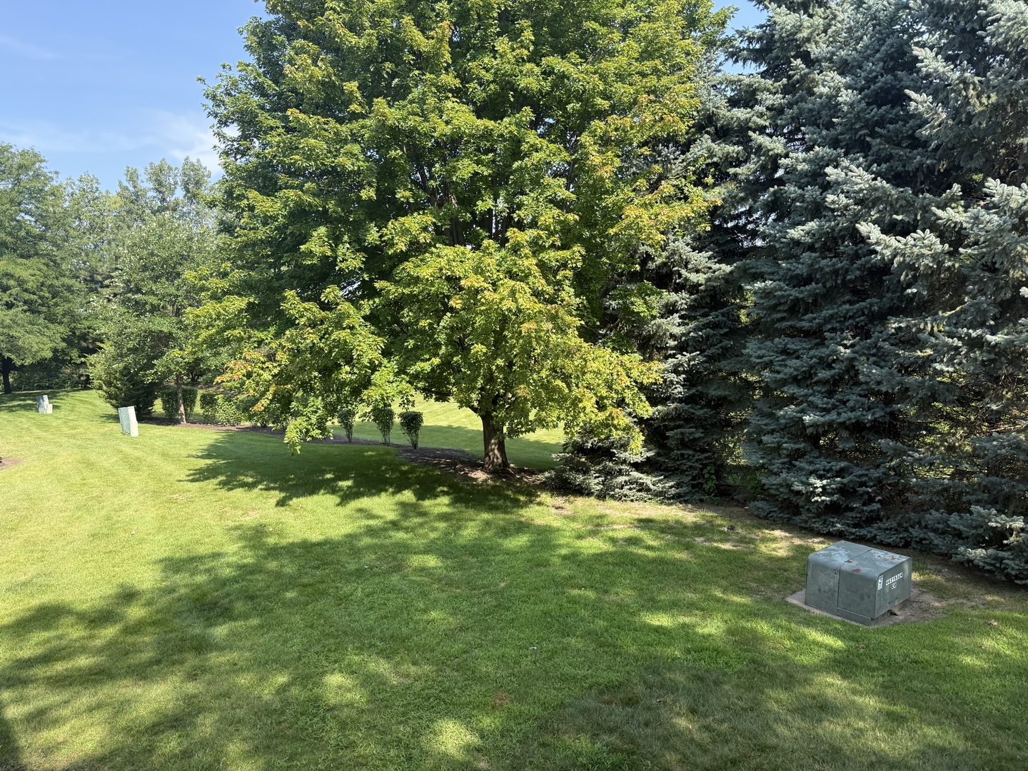 Gallery Image 50