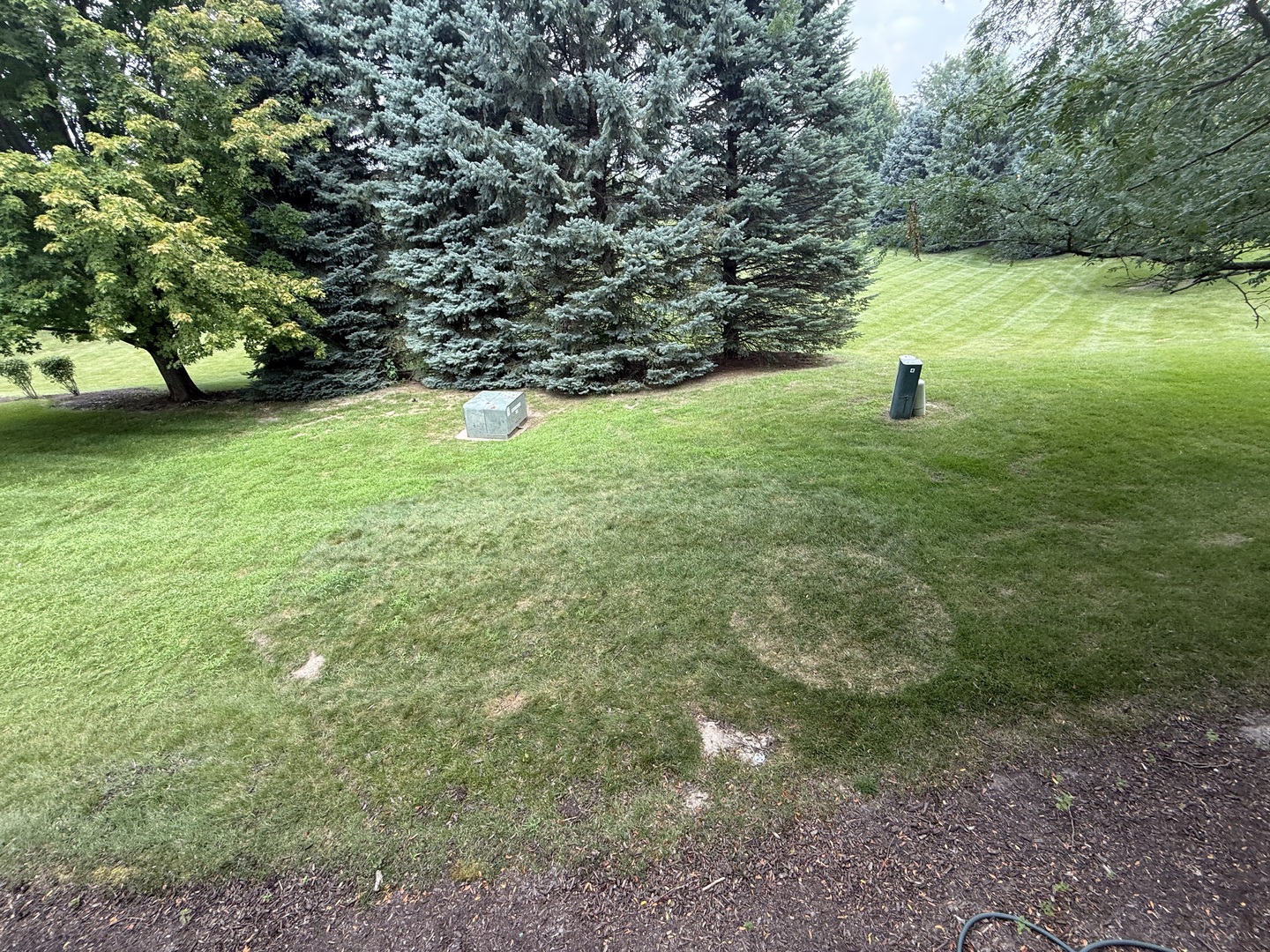 Gallery Image 45