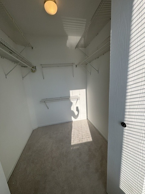 Gallery Image 19