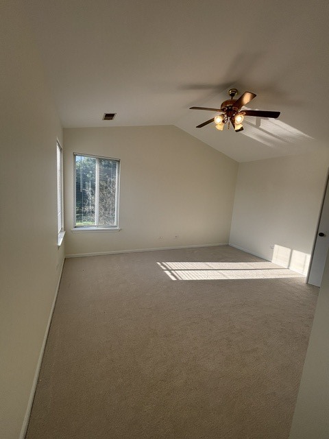 Gallery Image 18