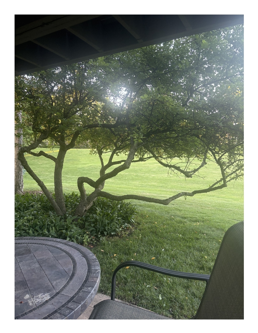 Gallery Image 22