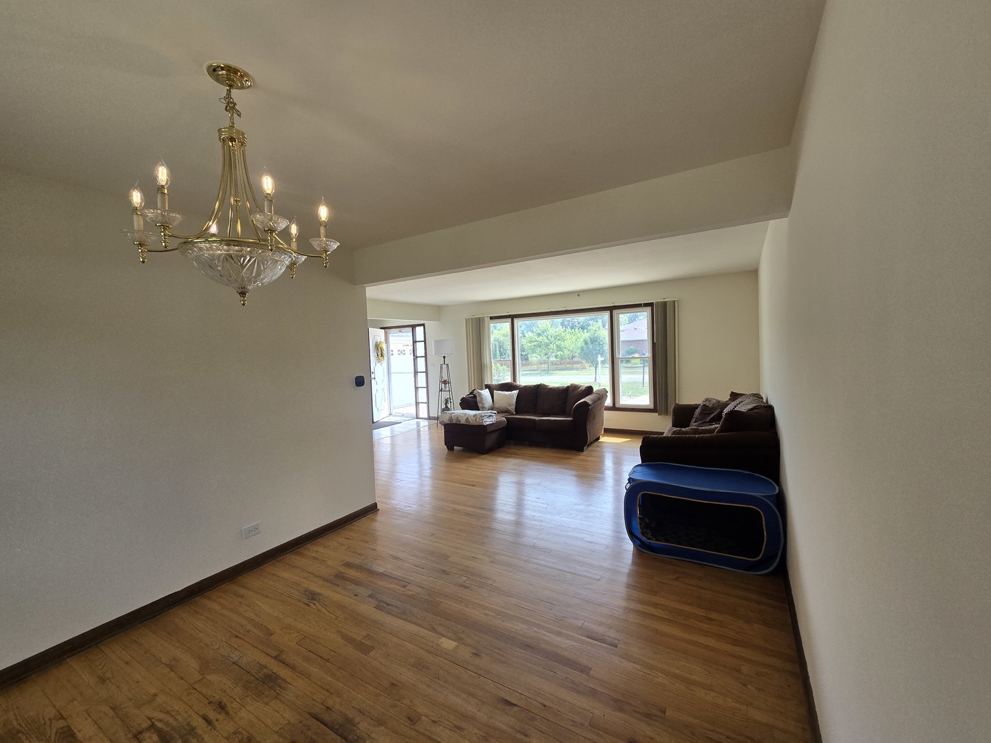 Gallery Image 11