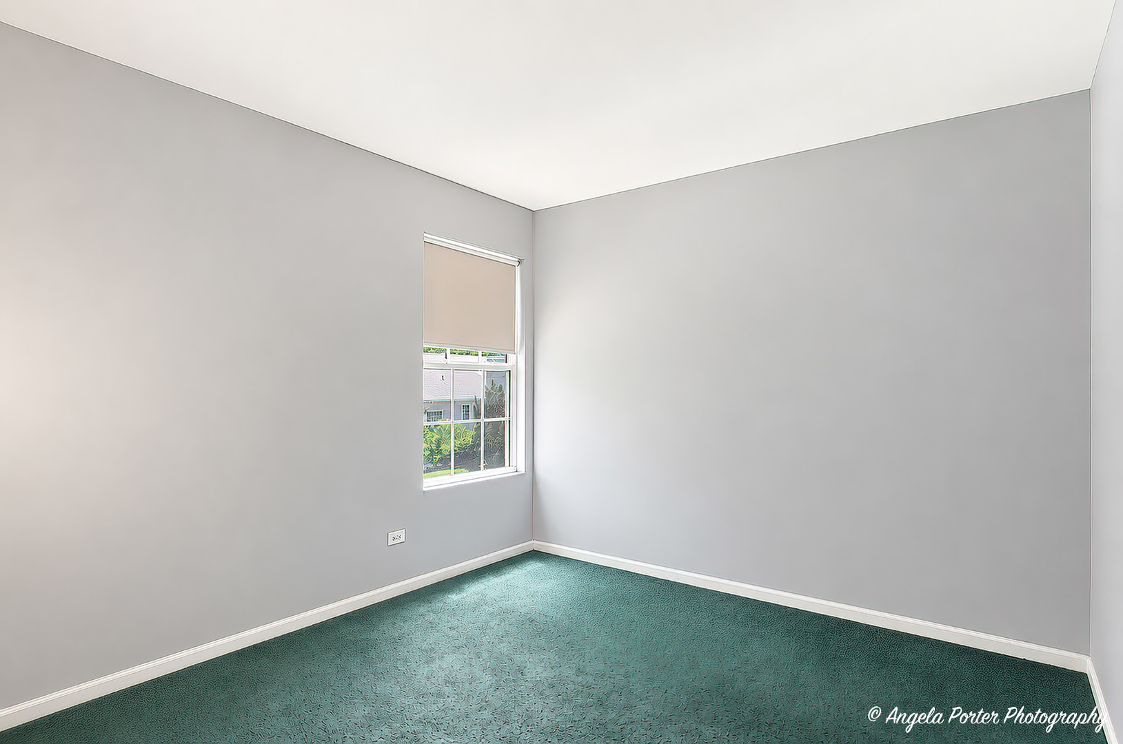Gallery Image 19