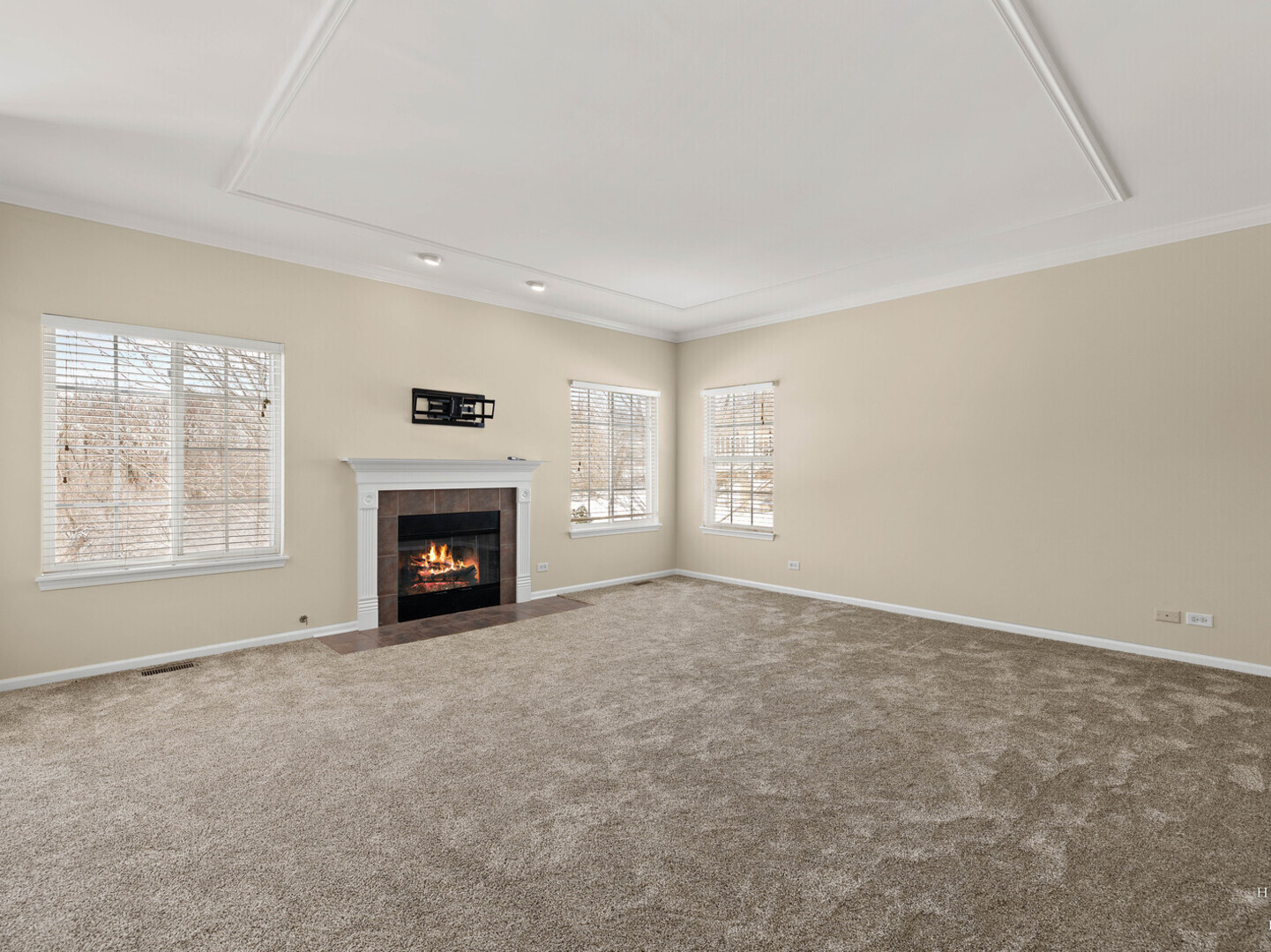 Gallery Image 14