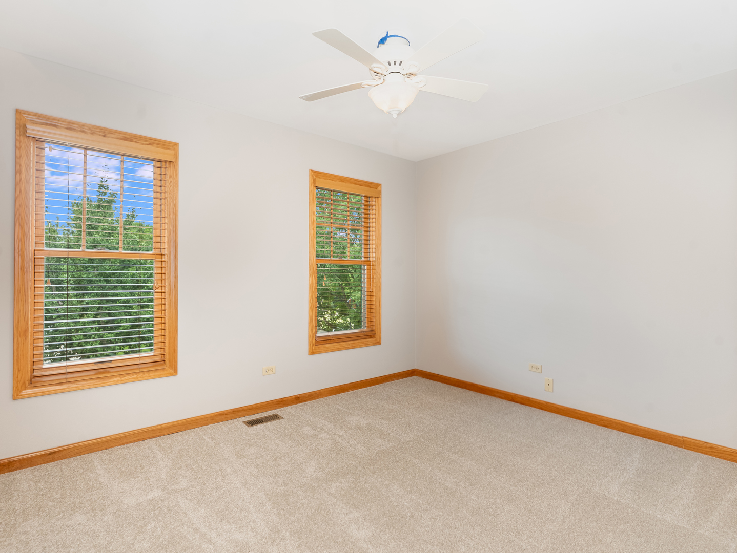 Gallery Image 19