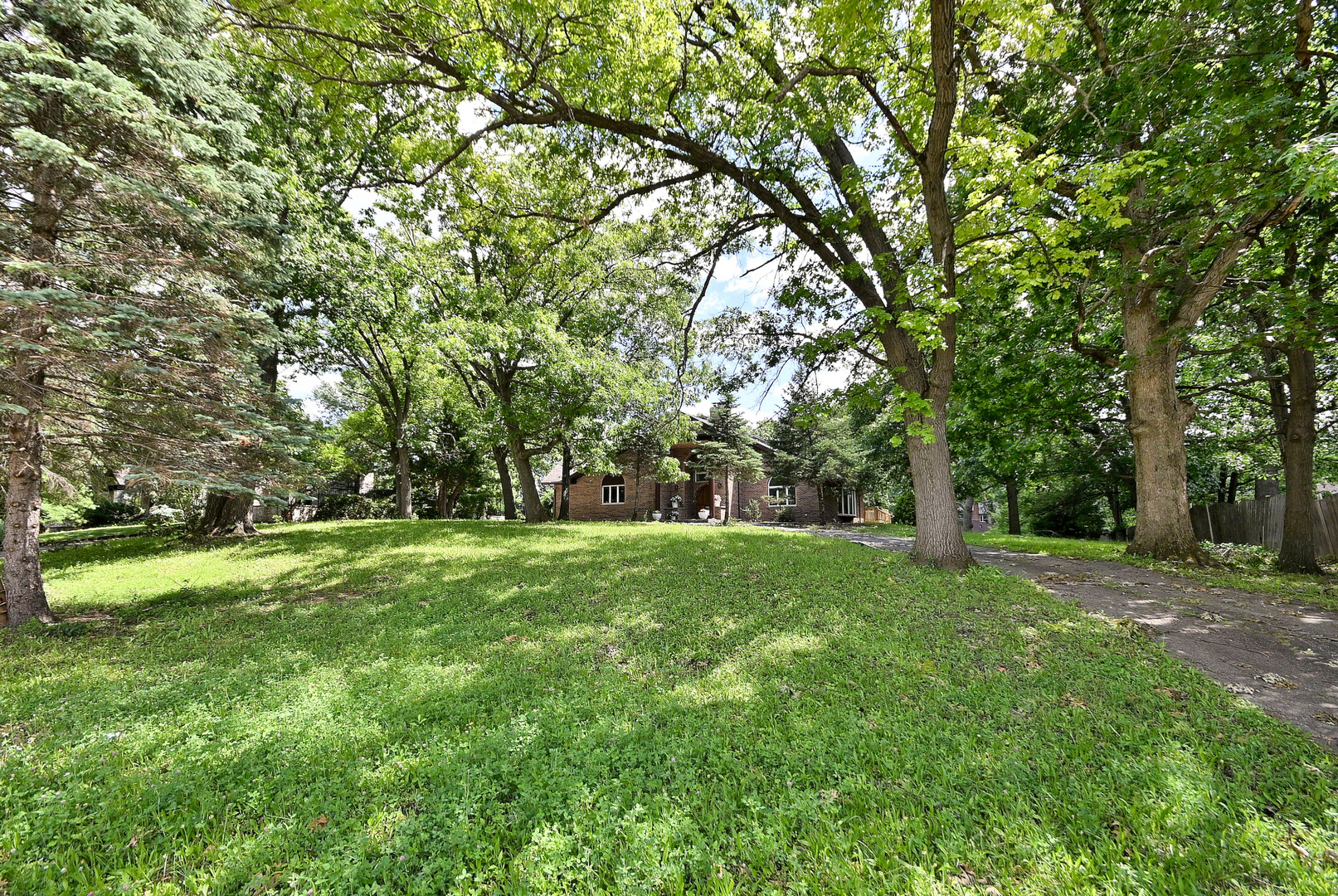 Gallery Image 57