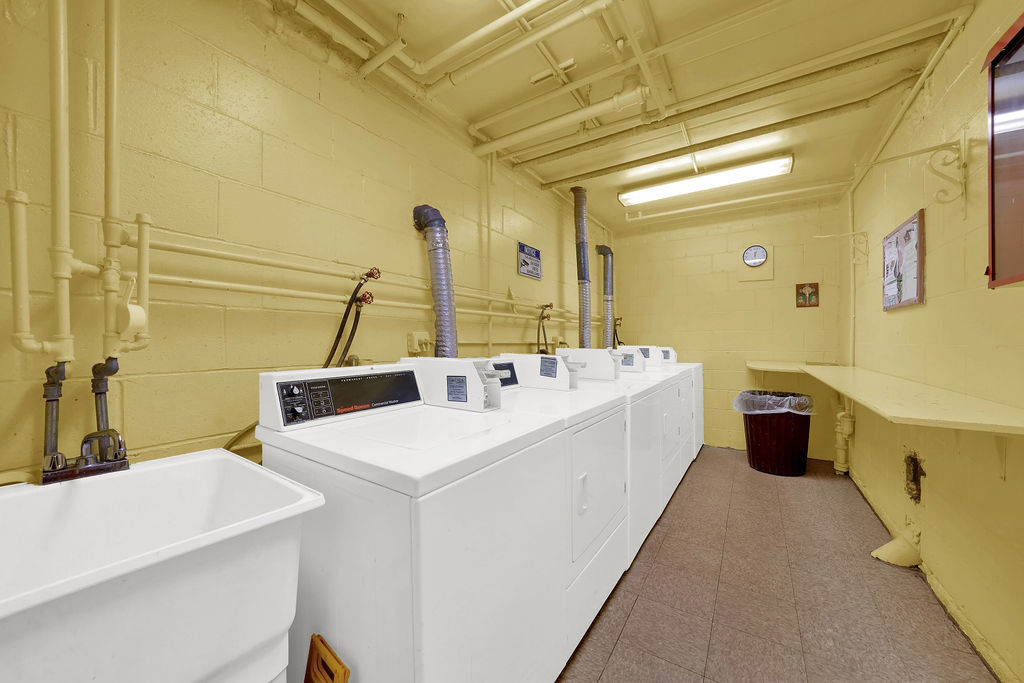 Gallery Image 19