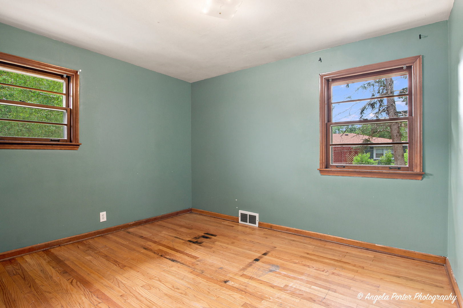 Gallery Image 8