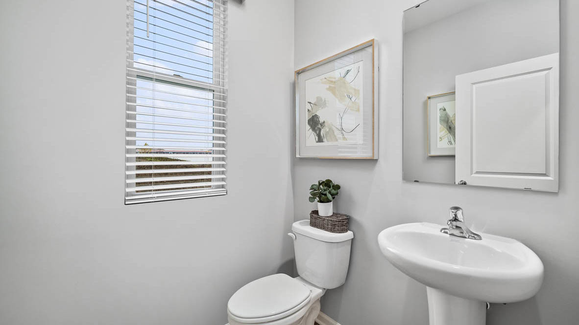 Gallery Image 11