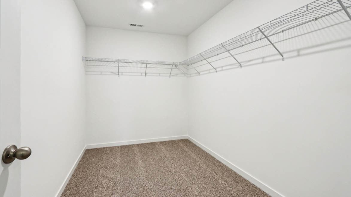 Gallery Image 51