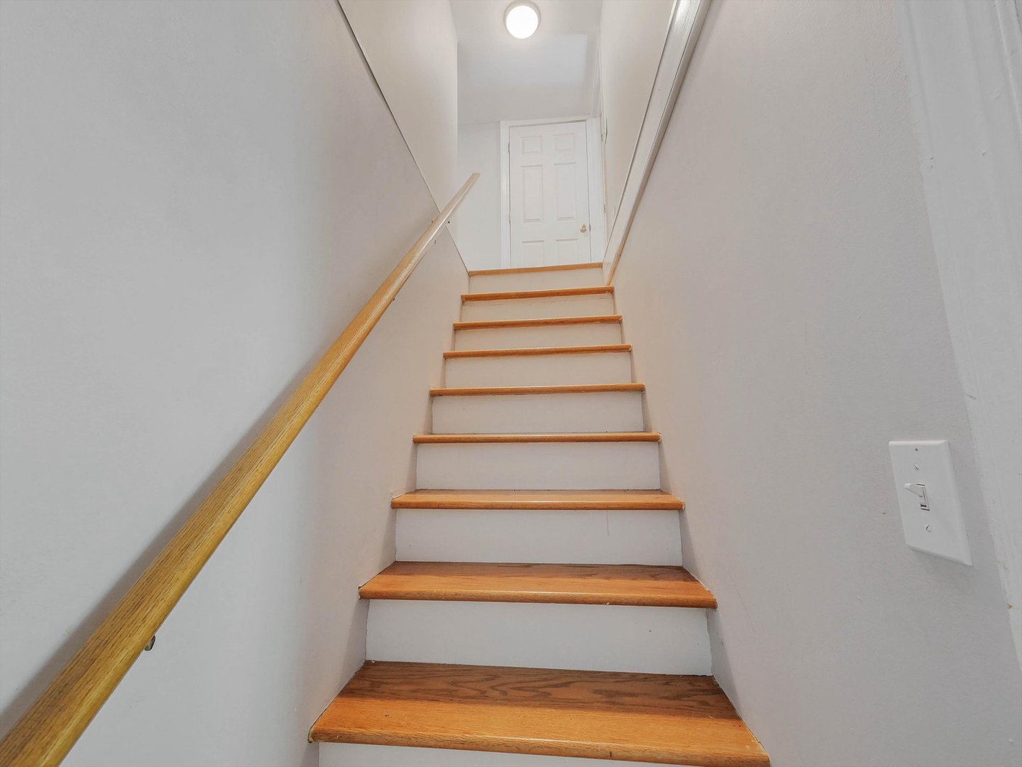 Gallery Image 14