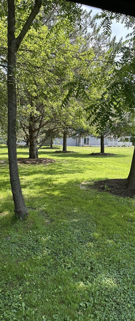 Gallery Image 68