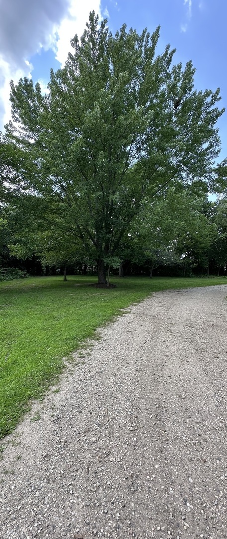 Gallery Image 67