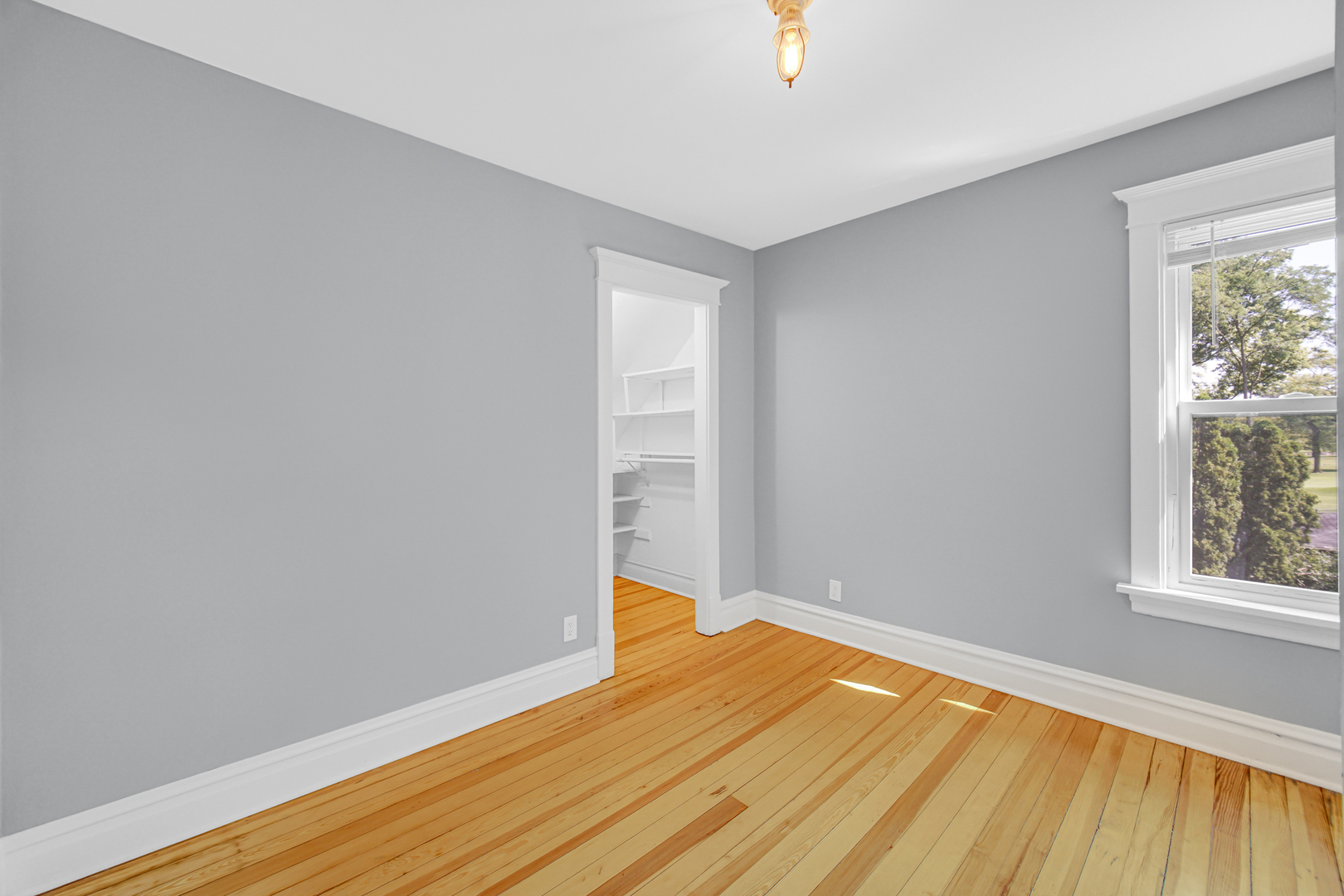 Gallery Image 18