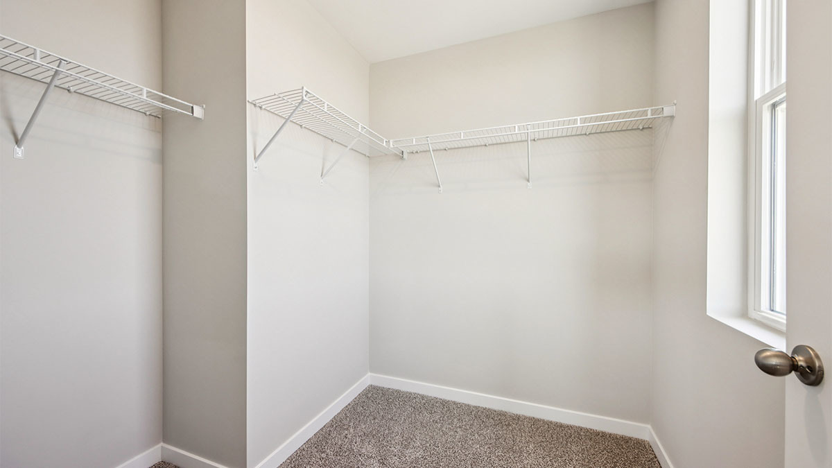 Gallery Image 19
