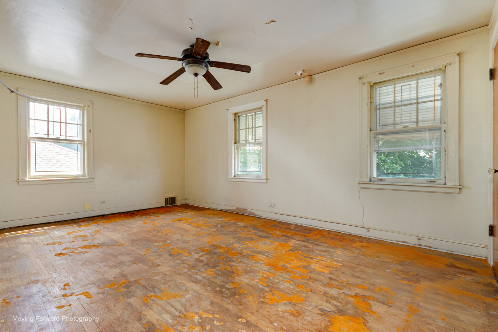 Gallery Image 14