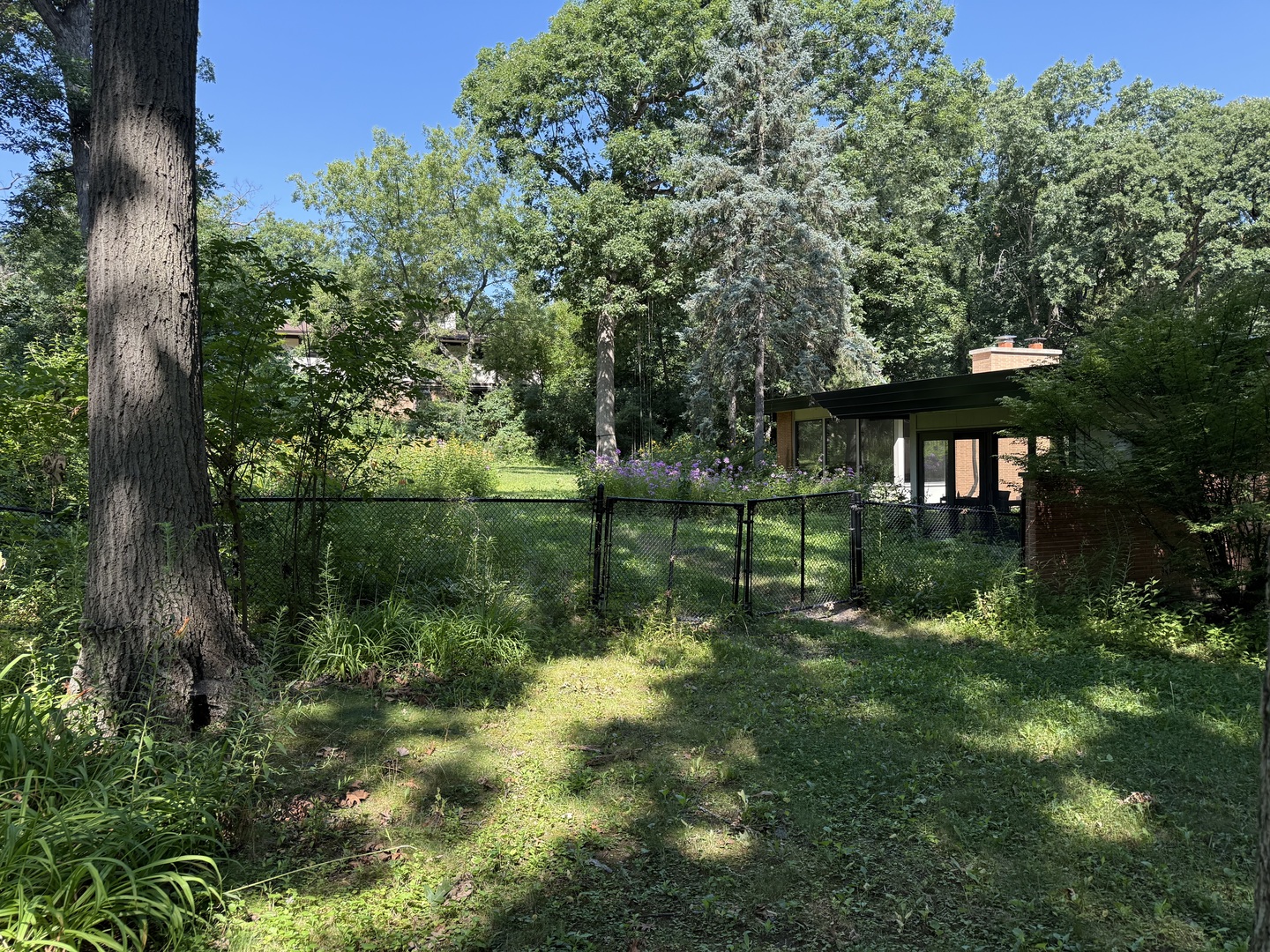 Gallery Image 16