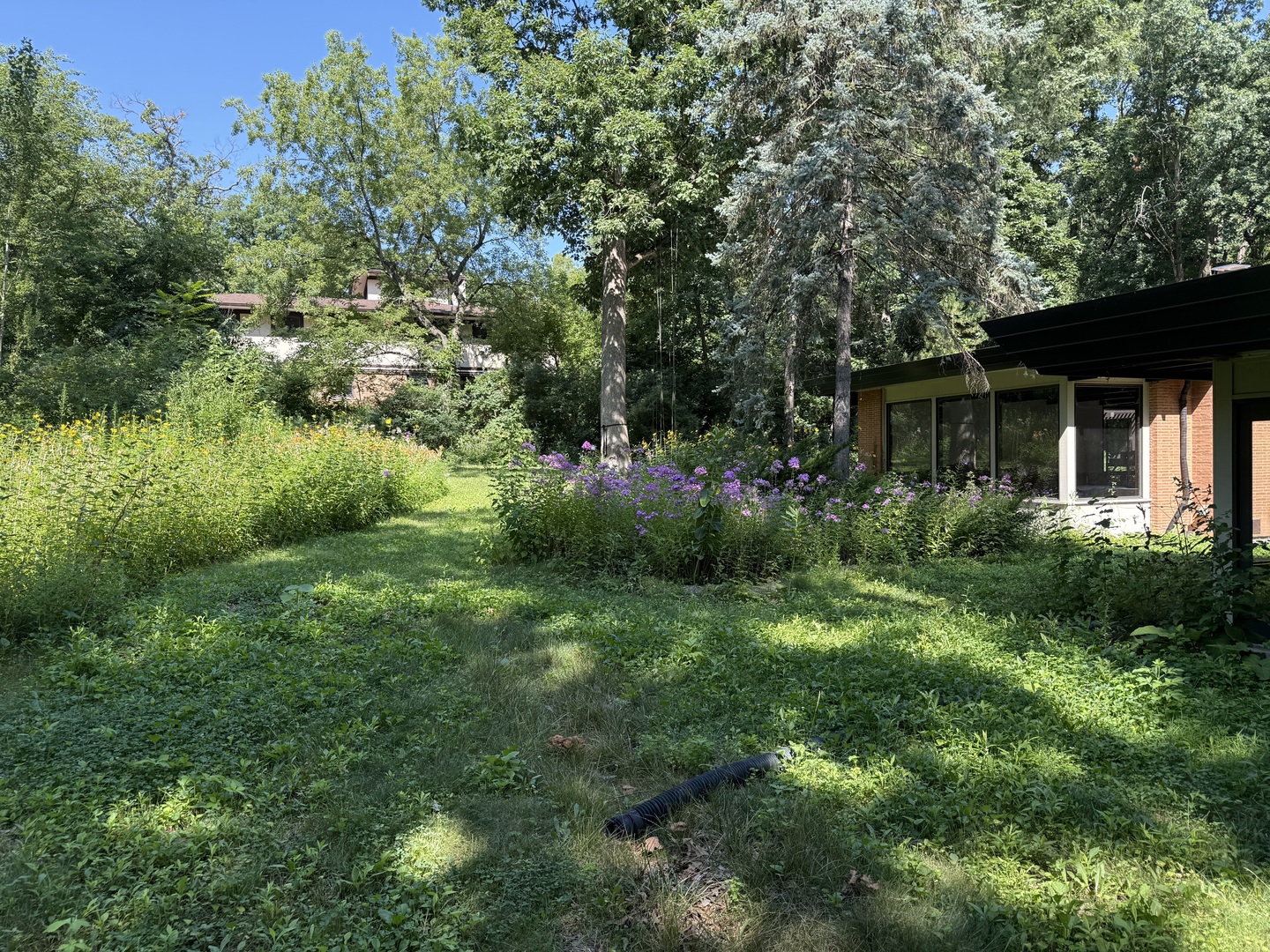 Gallery Image 17