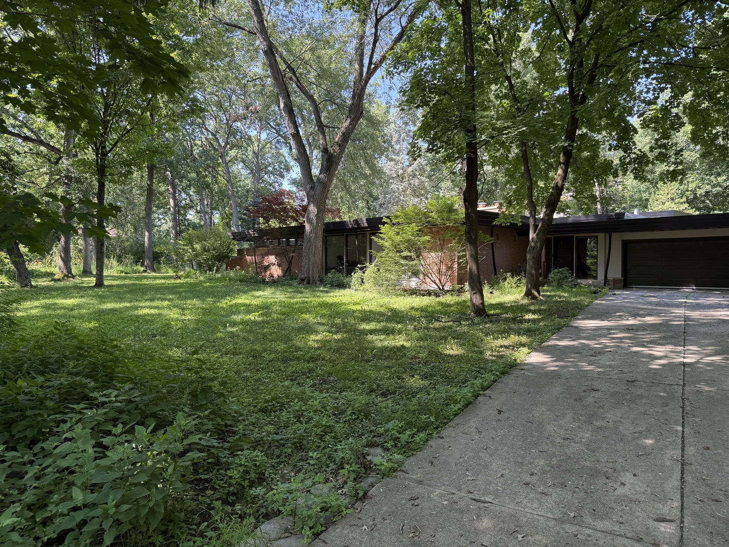 Gallery Image 15