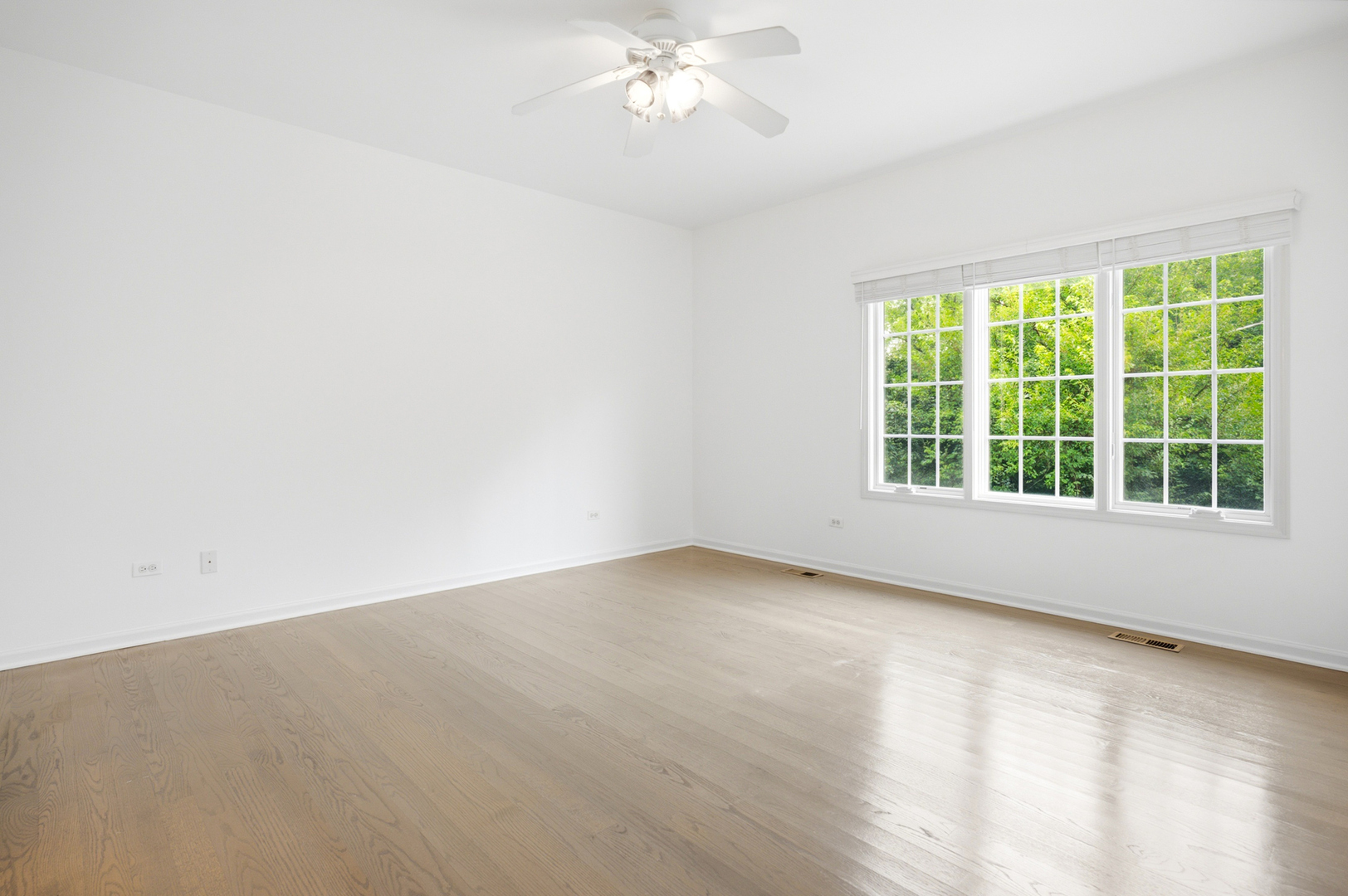 Gallery Image 20