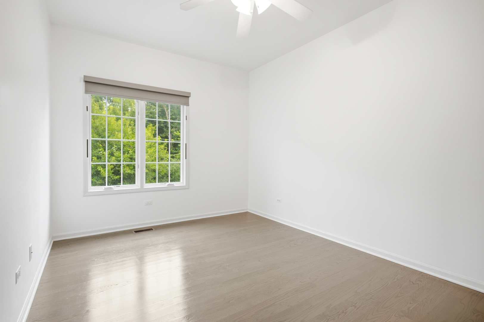 Gallery Image 17