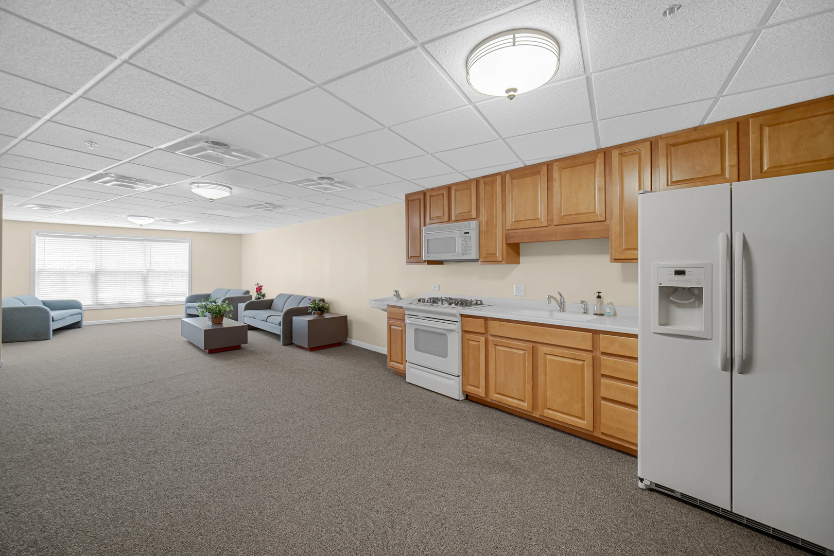 Gallery Image 14