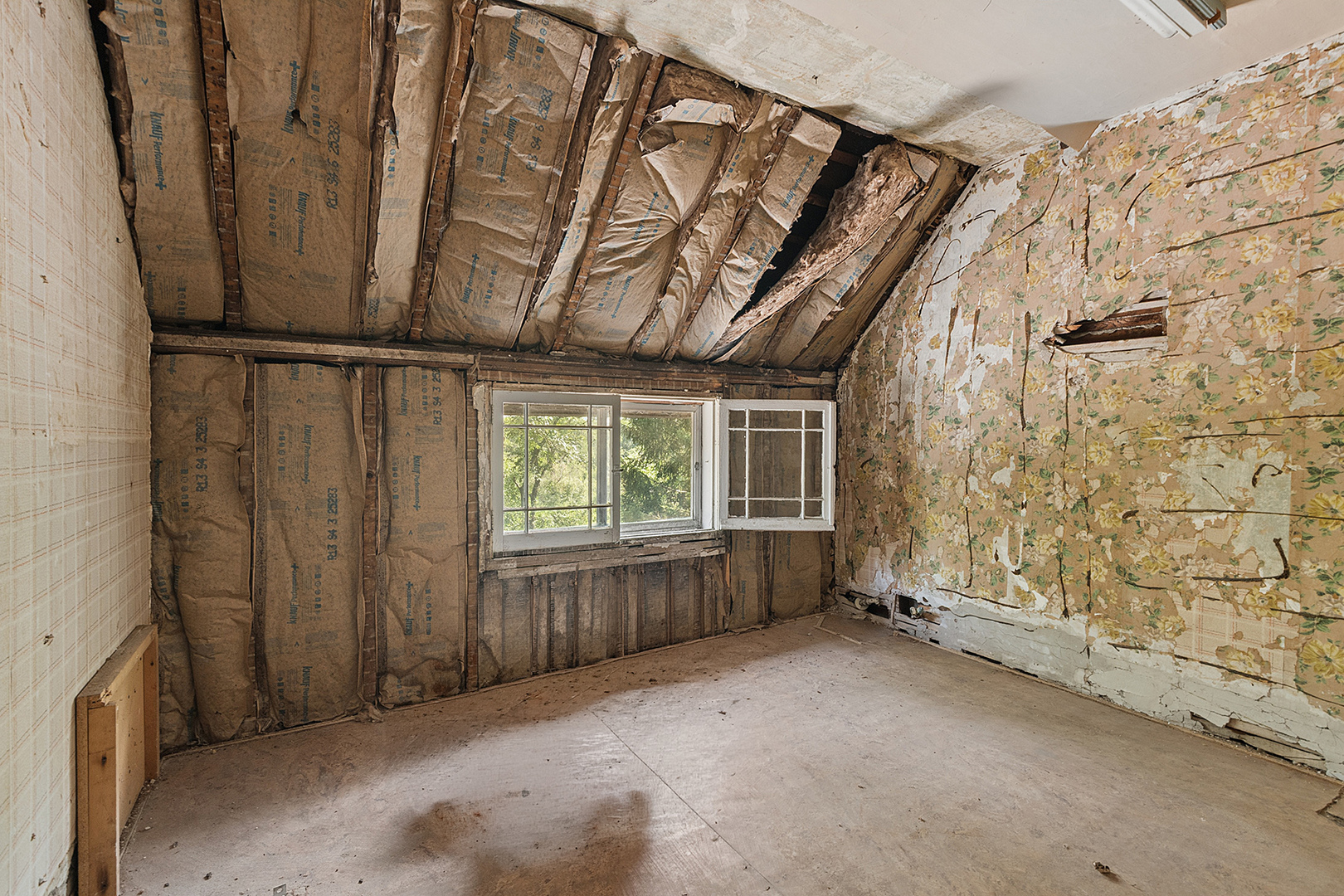 Gallery Image 15