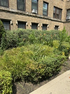 Gallery Image 18