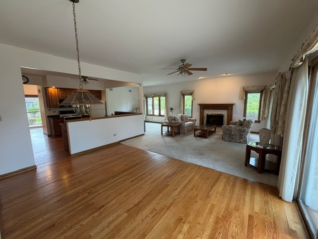 Gallery Image 9