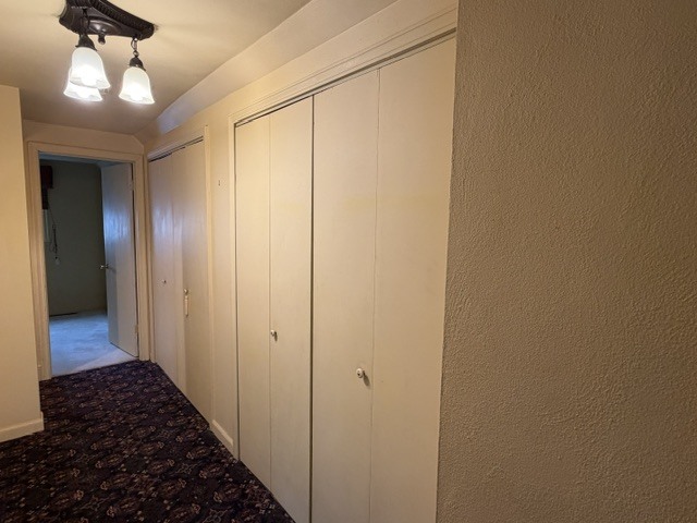 Gallery Image 29