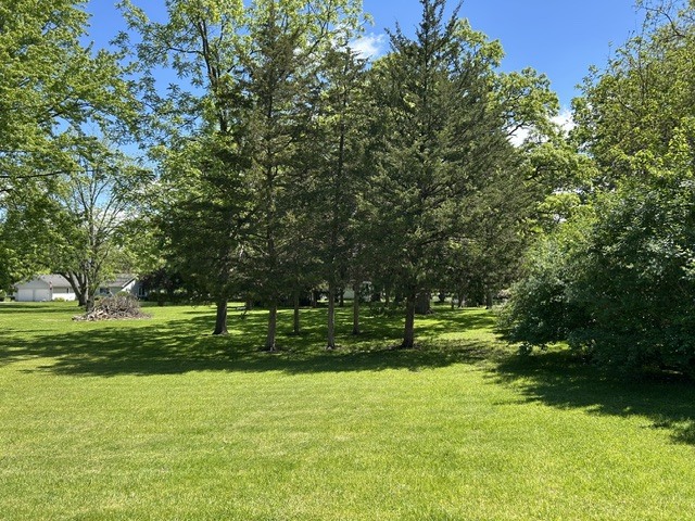 Gallery Image 19
