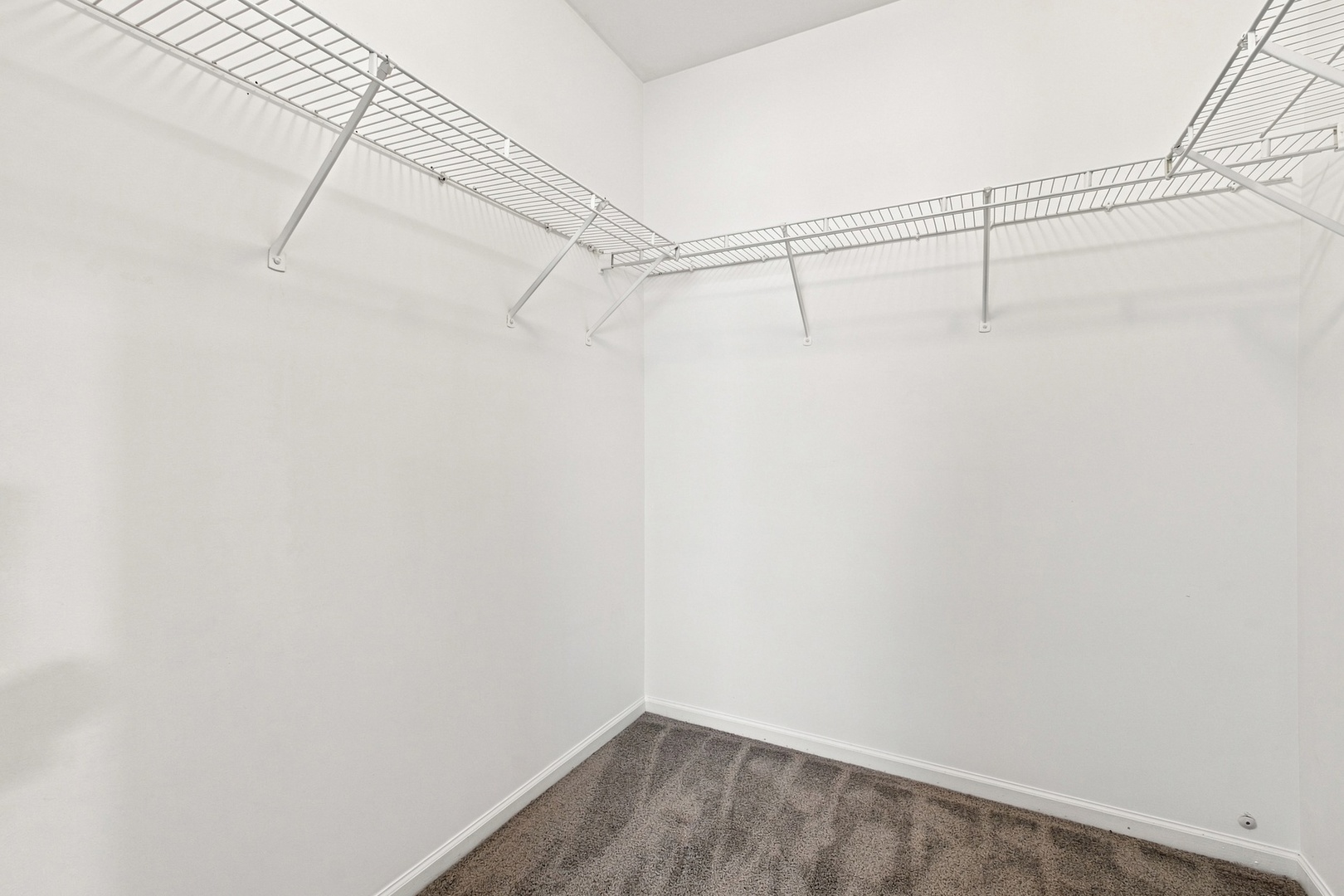 Gallery Image 20