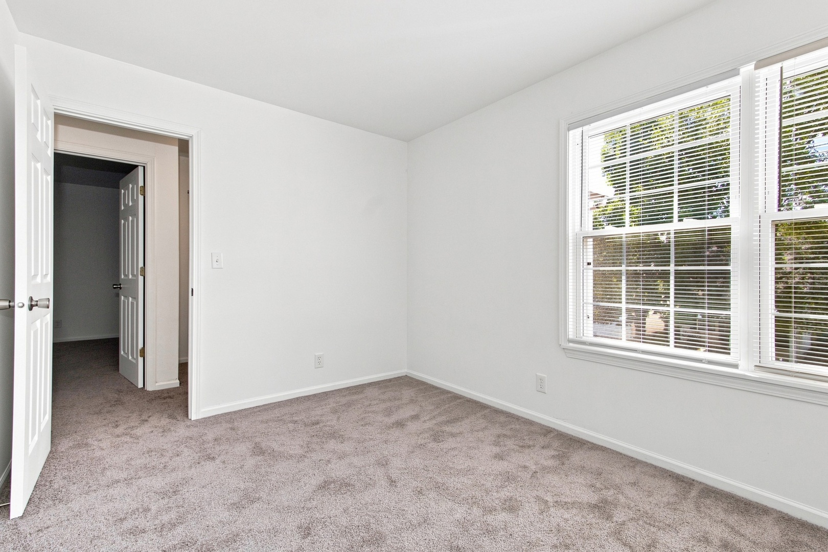 Gallery Image 19