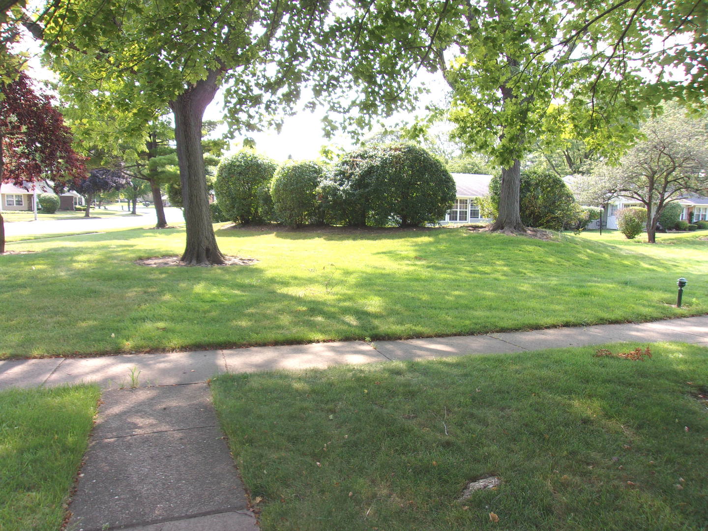 Gallery Image 17